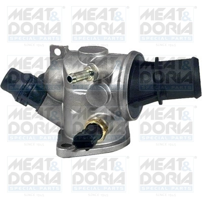 Thermostat, coolant